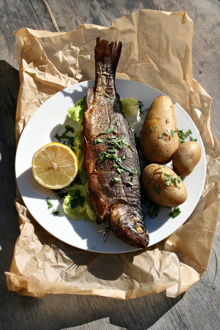 Forelle vom Grill – Grillgott Forelle vom Grill – Grillgott