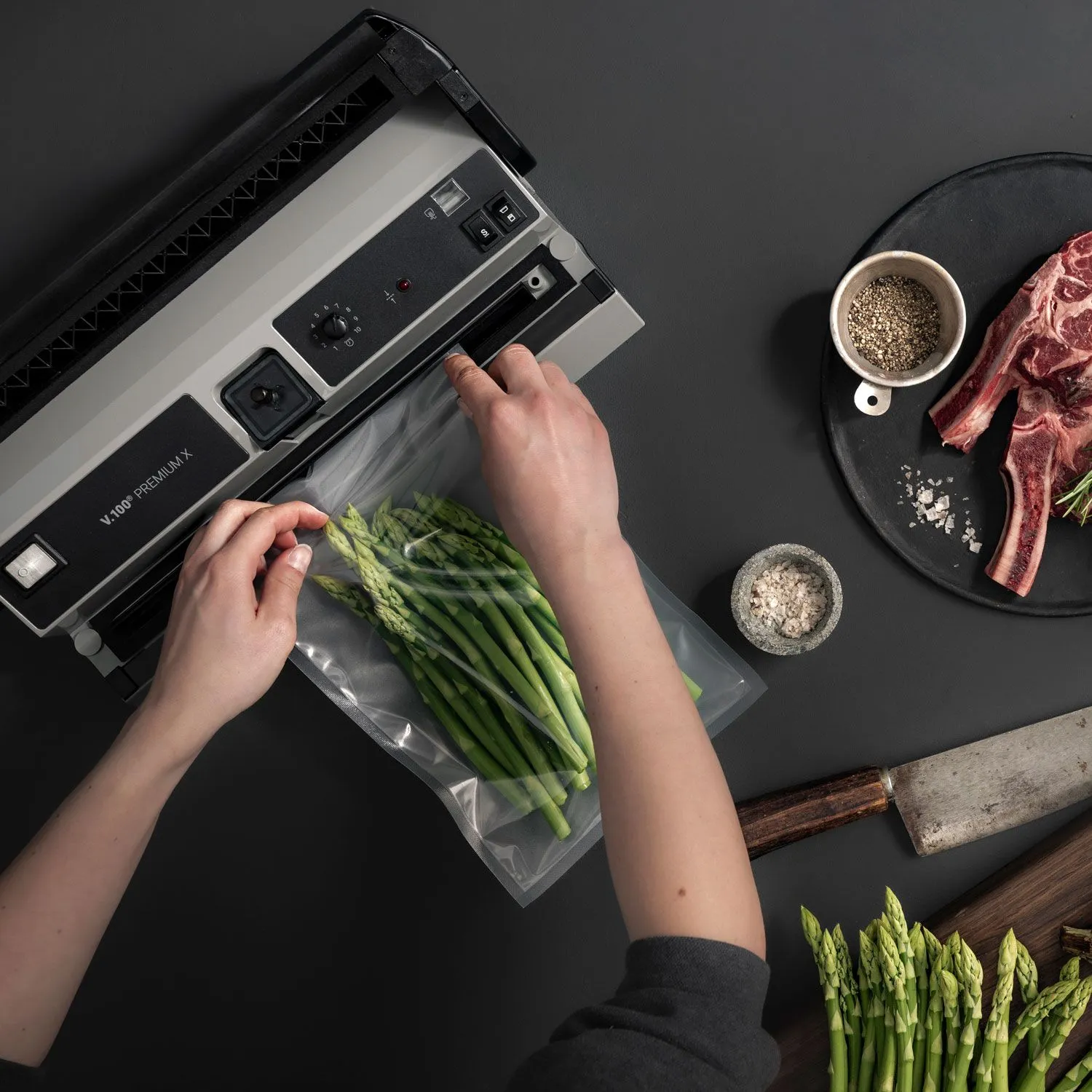 Vakuumiergerät Premium X V.100